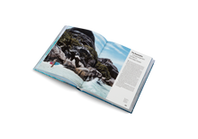 Load image into Gallery viewer, She Surf